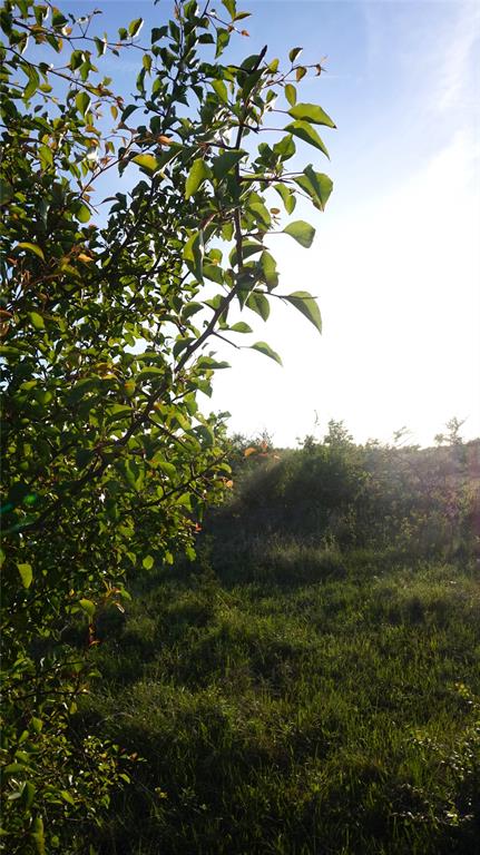 The Preserve at Buchanan Place Phase 1 - Land