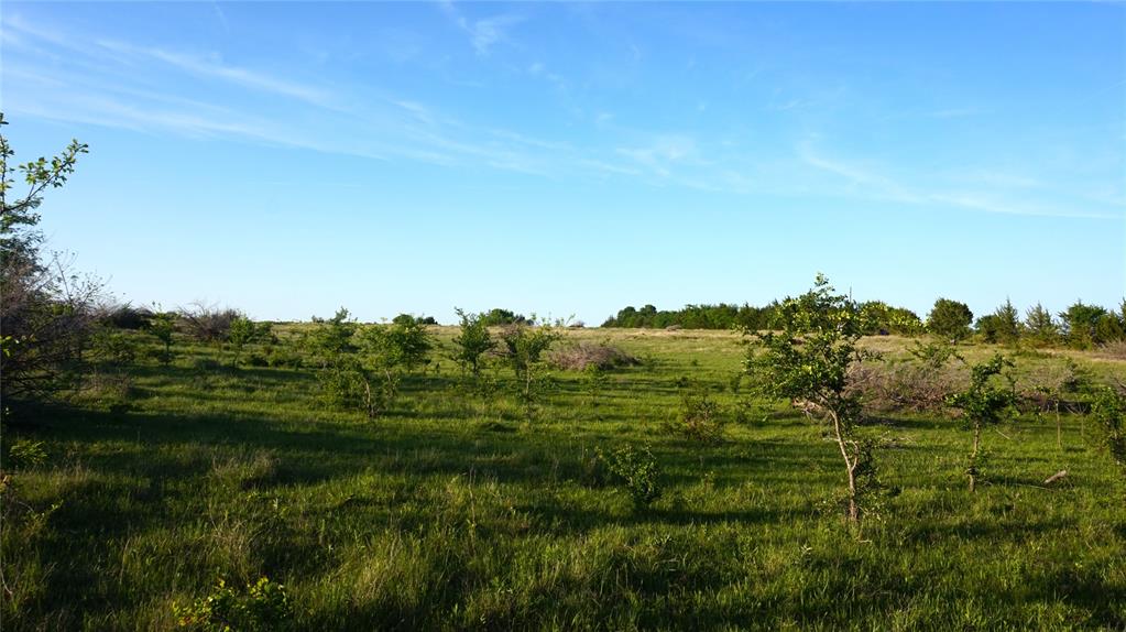 The Preserve at Buchanan Place Phase 1 - Land