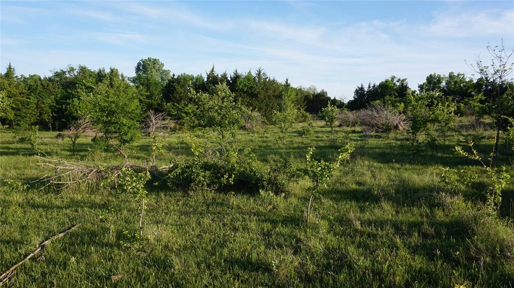 The Preserve at Buchanan Place Phase 1 - Land