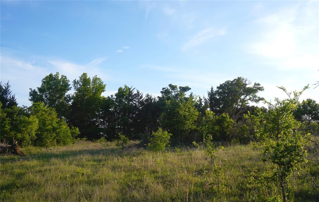 The Preserve at Buchanan Place Phase 1 - Land