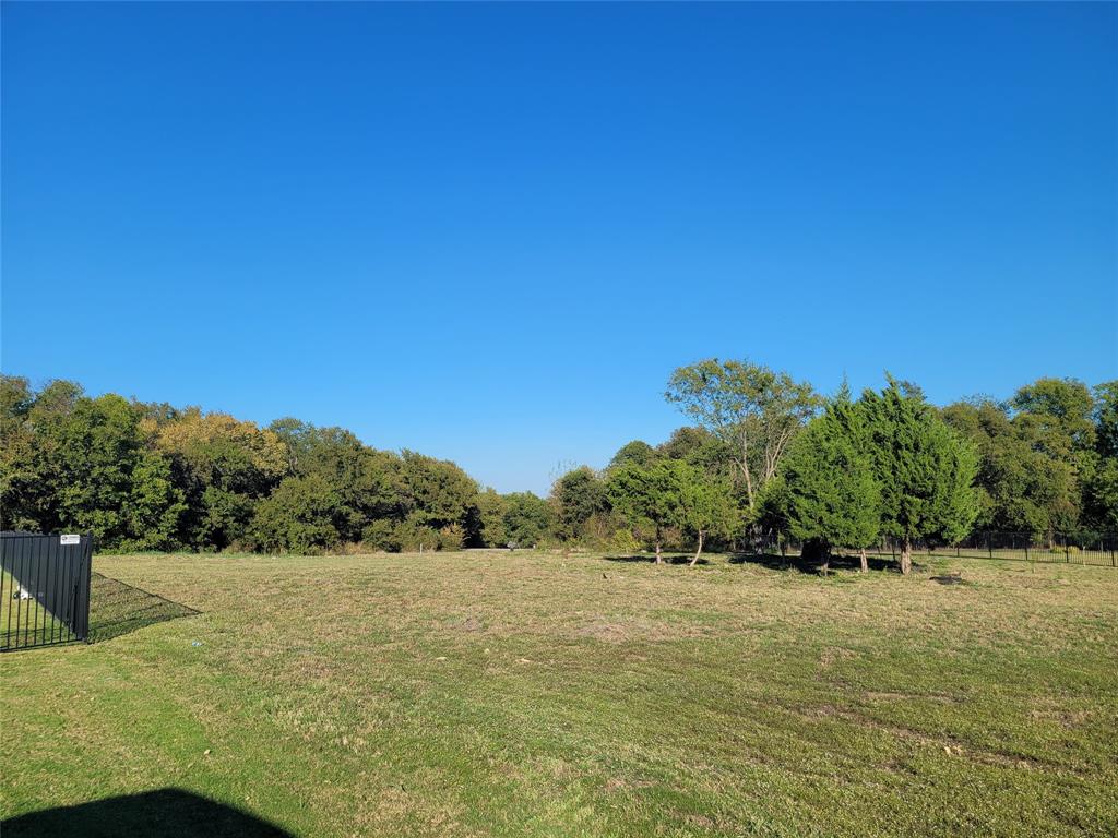 Lakeview Downs - Land