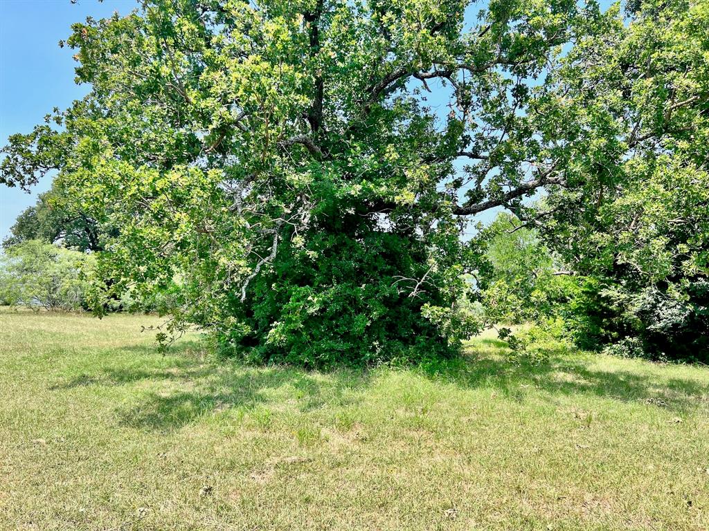 Vista Ridge - Land