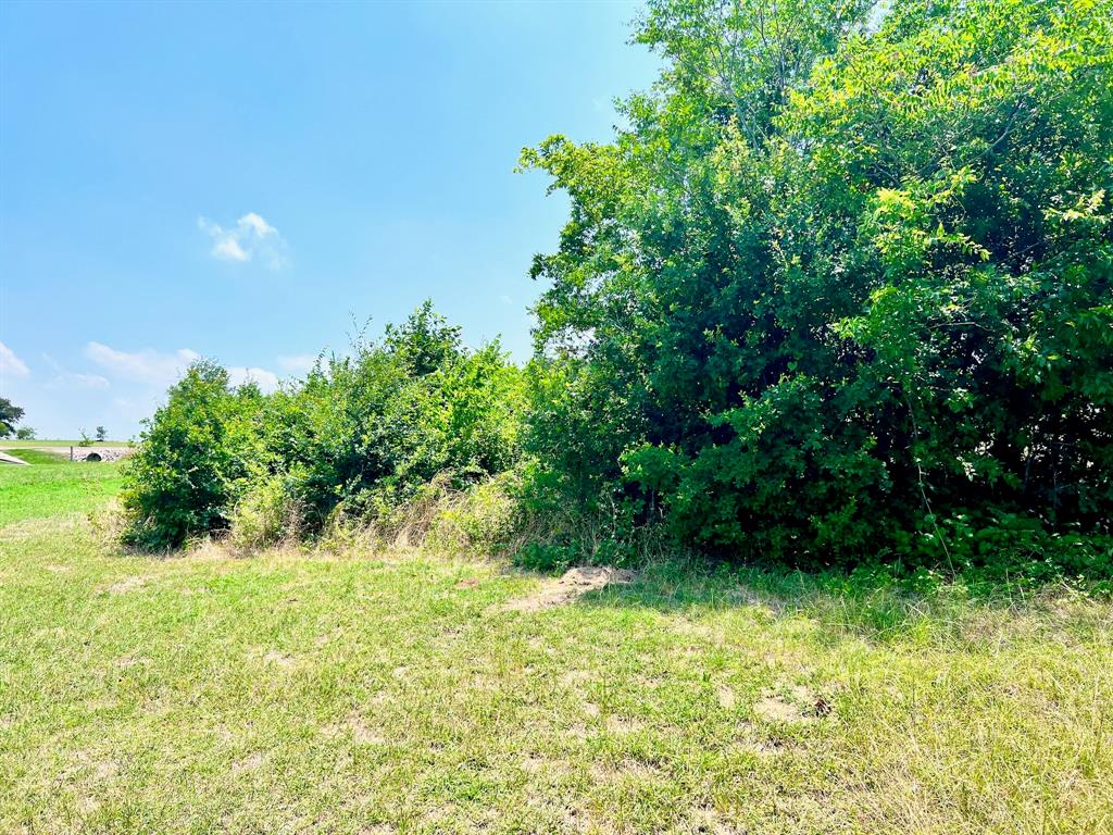 Vista Ridge - Land