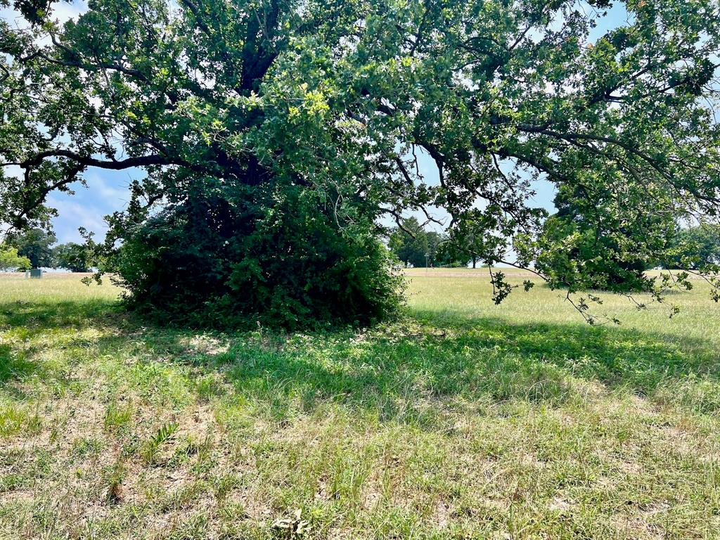 Vista Ridge - Land