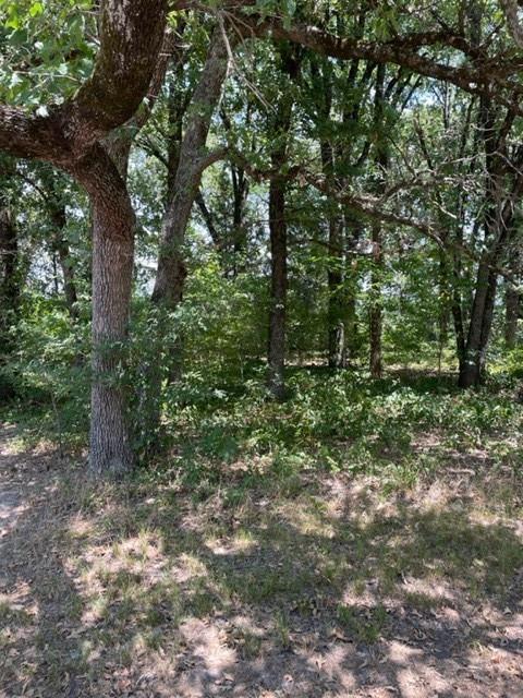 GREAT LOT IN NICE NEIGHBORHOOD TO BUILD YOUR HOME! WATERFRONT PARK, BOAT RAMP, CLOSE TO SHOPPING AND DINING.