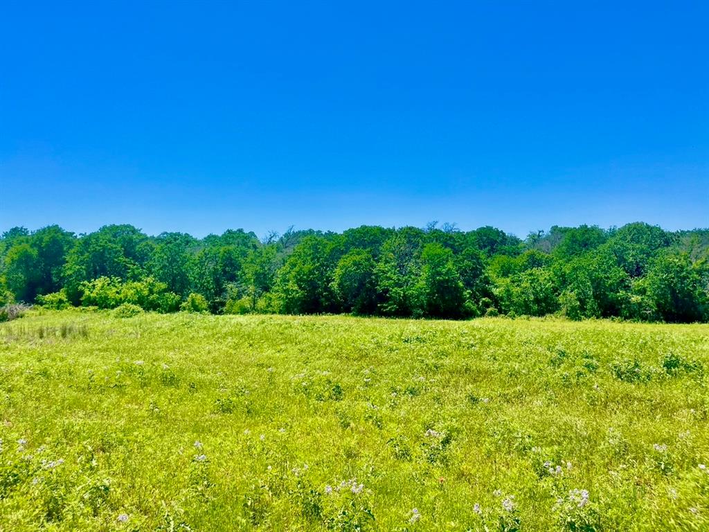 Sarra Ranch Estates - Land