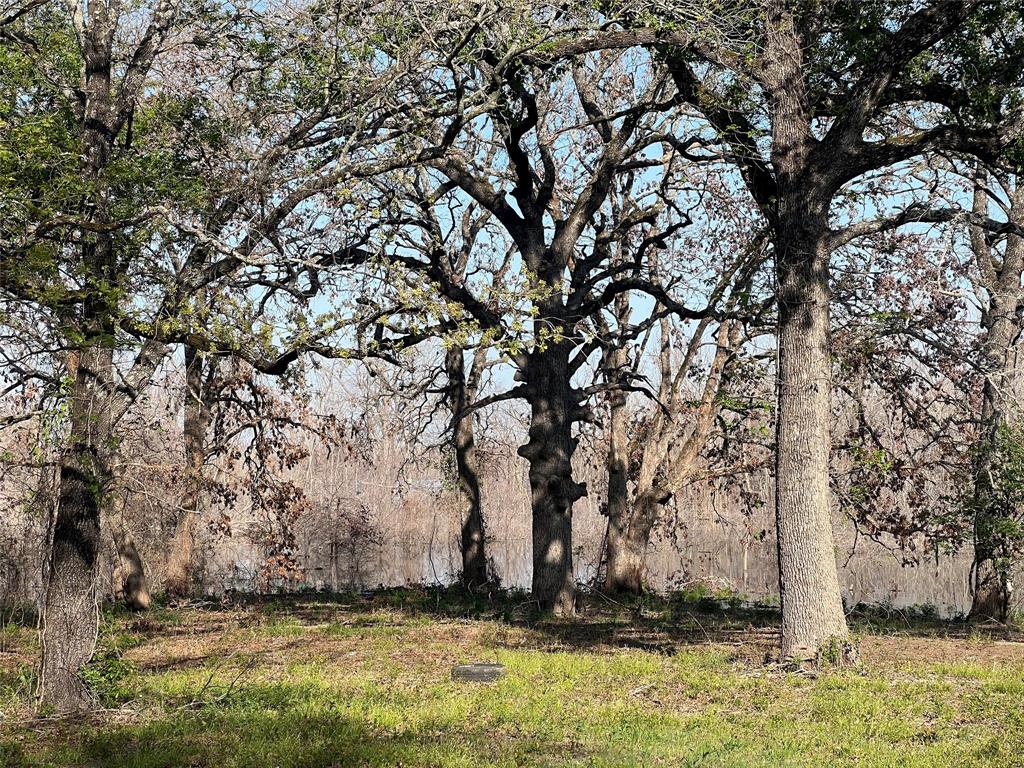 T Cowart - Land