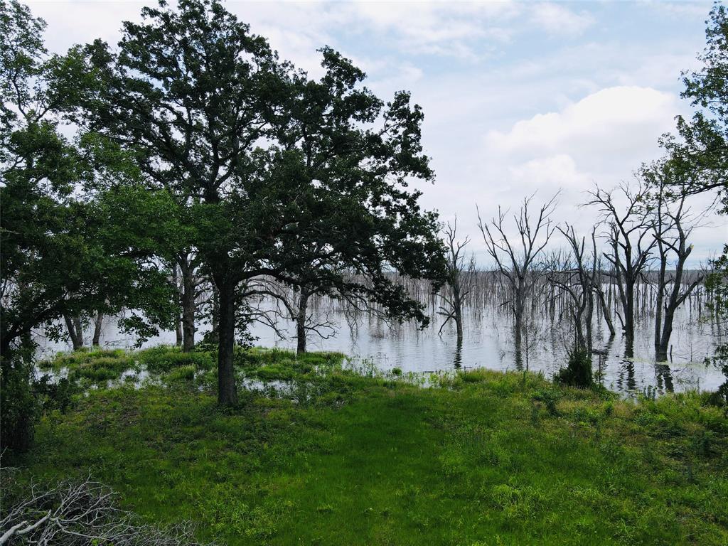 T Cowart - Land