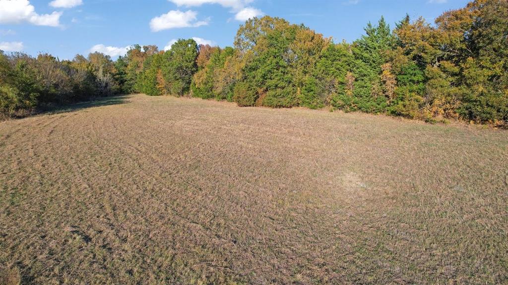 Magnolia Farms - Land