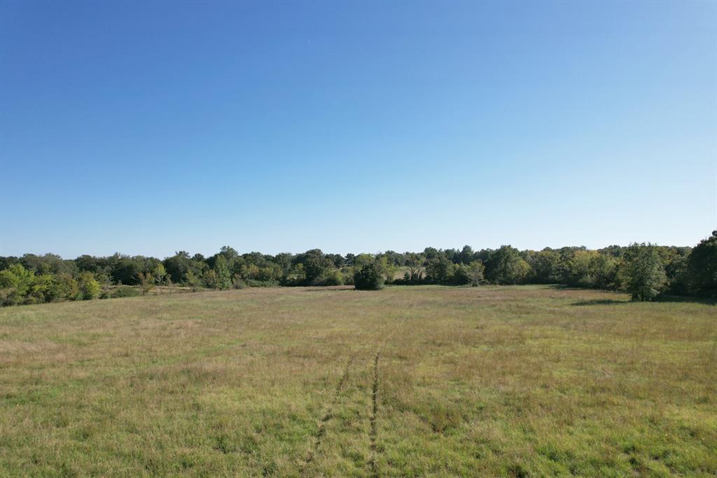 N School - Land