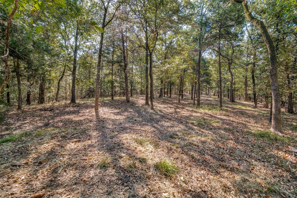 The Woods At Richland Chamb - Land