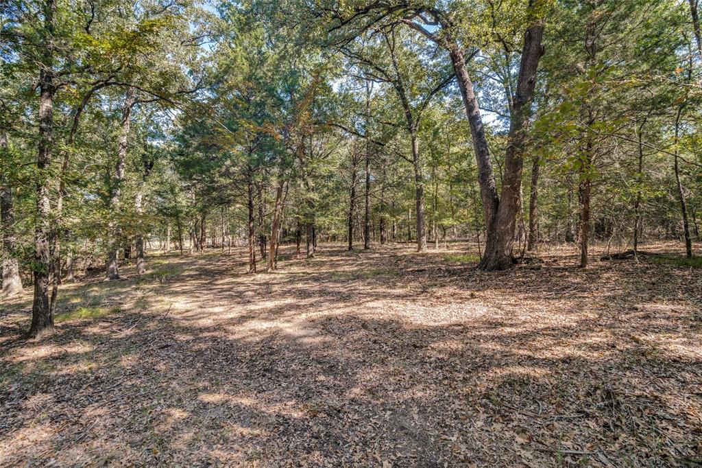 The Woods At Richland Chamb - Land