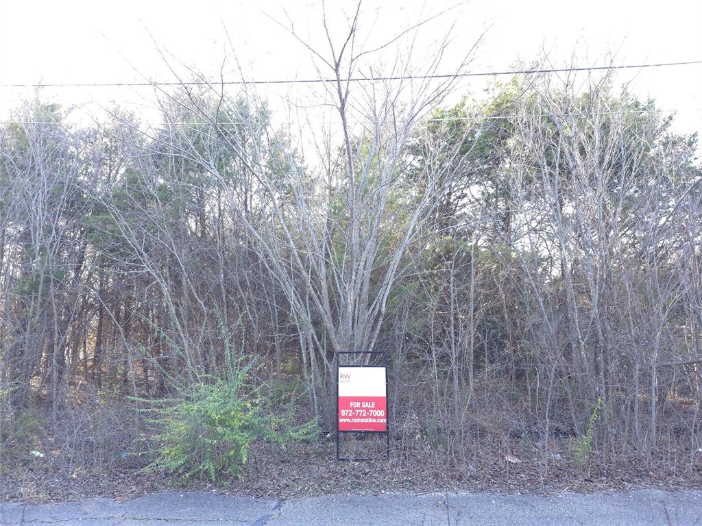 Beautifully treed residential lot in the City of Greenville offering a natural setting and added privacy. Level lot with street frontage on Harrison St. Survey available. Per survey dated 11-2022, property is located in FEMA Flood Zone X (not in a special flood hazard area). Utilities available at street (buyer to verify). Convenient access to downtown, schools, and local amenities. Ideal for new construction. Buyer to verify zoning, setbacks, and building requirements with the City of Greenville.