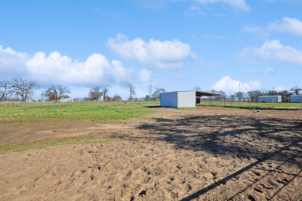 F Trevino - Farm