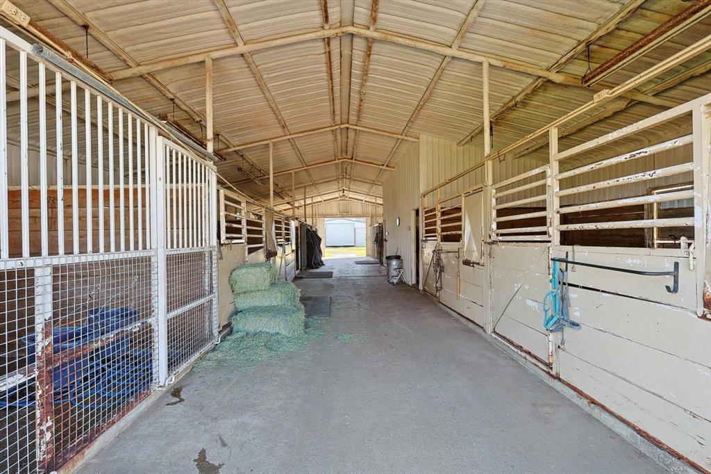 F Trevino - Farm