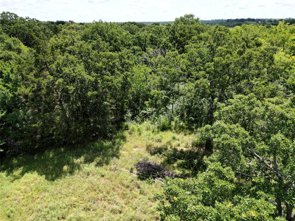 Nestled in the highly sought-after High Point Estates subdivision, this beautiful 1-acre wooded tract offers a rare opportunity to build your dream home in one of Sulphur Springs’ premier neighborhoods. Located within Sulphur Springs ISD, this property boasts mature trees and a serene setting, providing both privacy and natural beauty. Enjoy being just minutes from the Sulphur Springs Country Club, golf course, and other upscale amenities, while still being conveniently close to town. With limited lots available in this desirable area, don’t miss your chance to own a piece of land in one of the most prestigious communities in Sulphur Springs.