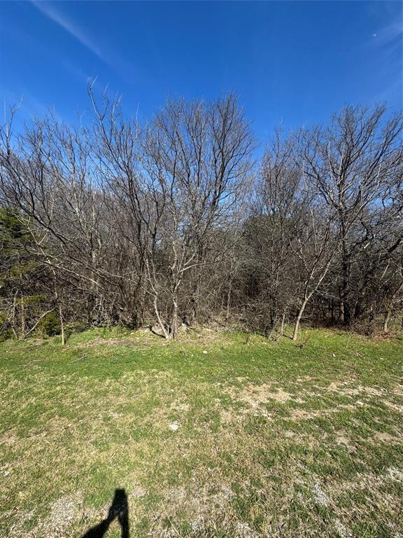 White Bluff #01 - Land