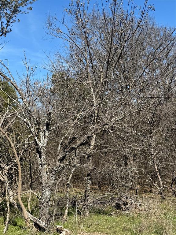White Bluff #01 - Land