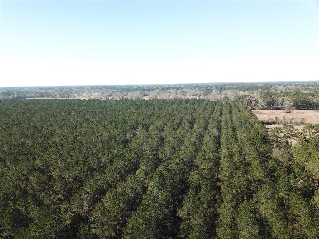 Impressive 790-acre timberland tract located in northern Orange County, Texas, offering a rare combination of income-producing timber assets and high-quality recreational opportunities. The property has been under a long-standing, intensive forest management program designed to maximize growth, yield, and long-term value, making it particularly attractive to institutional and private timberland investors.

The timber profile consists of a diverse mix of loblolly pine plantations across multiple age classes, complemented by areas of native pine and established hardwood stands. This diversity supports both near- and long-term harvest potential while enhancing wildlife habitat and recreational appeal. The well-balanced forest composition reflects thoughtful silvicultural practices and positions the property for sustained productivity.

Tiger Creek meanders through the eastern portion of the tract, providing a natural water feature that enhances aesthetics, wildlife habitat, and recreational value. In addition, a network of canals and drainage features supports effective water control across the property, further contributing to timber health and accessibility.

Beyond its timber investment merits, the property is exceptionally well-suited for recreational use, particularly hunting. The combination of managed pine stands, hardwood corridors, and reliable water sources creates ideal conditions for deer, hogs, and other East Texas game species. 
The land has been actively managed with both timber production and hunting in mind, offering immediate enjoyment and long-term upside.

Access from two public roadways. Entry is available via Pipeline Road at the northwest corner or Corrigan Road along the northern boundary, both conveniently accessed from FM 2802 (Texla Road). This dual access enhances operational efficiency, recreational usability, and future flexibility.