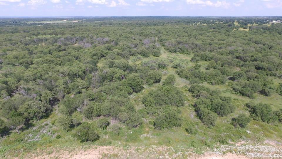 Paradise Oaks Ranch - Land