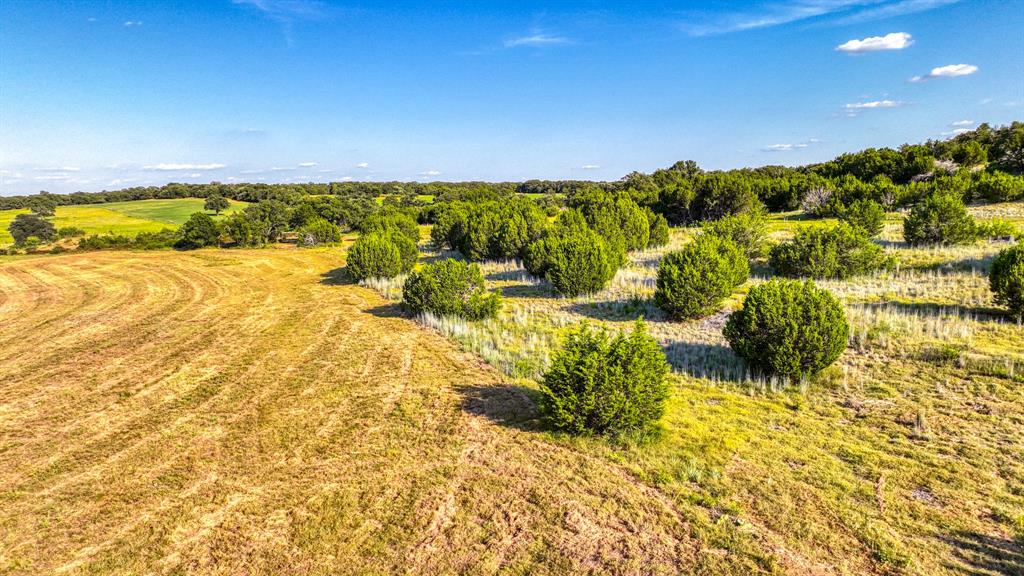 Parallel Pastures - Land