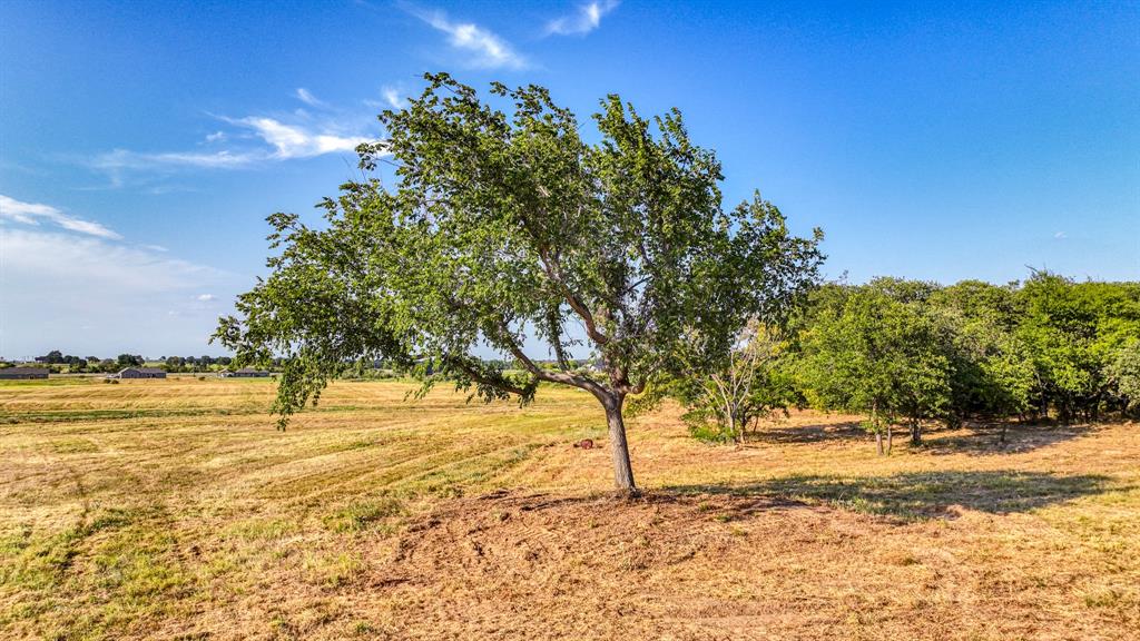 Parallel Pastures - Land