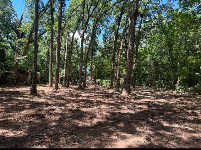 Discover the perfect slice of paradise on beautiful Cedar Creek Lake! This spacious lot offers a rare opportunity to enjoy lakeside living your way—whether you're dreaming of bringing in a new mobile home, setting up the perfect tiny home retreat, or building your custom dream home from the ground up. Located in a peaceful and friendly community, this property offers easy access to the lake, making it ideal for fishing, boating, or simply relaxing and enjoying the view. Mature trees offer natural shade and privacy, while nearby utilities make your build-out even easier. Whether you're looking for a weekend getaway or a full-time residence, this lot gives you the flexibility to create the lifestyle you’ve always wanted. Embrace lake life with no timeline to build and plenty of room to breathe. Don’t miss your chance to own a piece of Cedar Creek Lake—where everyday living feels like a vacation! Buyer to verify restrictions, utilities, and availability. Possible owner financing with 30 percent down.