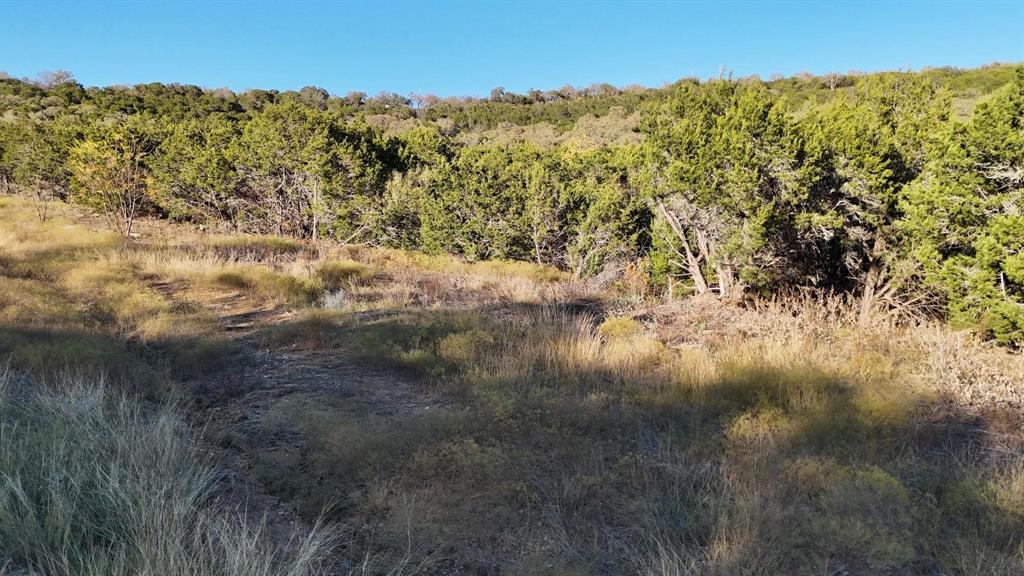 Brazos Mountain Ranch - Land