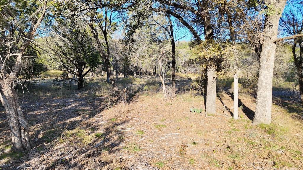 Brazos Mountain Ranch - Land