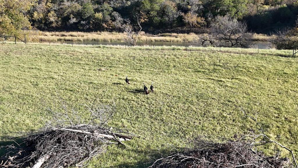Brazos Mountain Ranch - Land