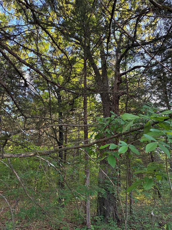 Great .29 acre lot nestled near Lake Crockett in scenic Fannin County, offering a peaceful setting surrounded by an abundance of mature trees. This property provides a perfect mix of privacy and natural beauty, ideal for dream home, weekend retreat, or investment portfolio. Enjoy close proximity to the rapidly developing Bois D Arc Lake, known for its excellent fishing, boating and outdoor recreation opportunities. With easy access to to nature and plenty of space to create your vision this wooded lot is a rare find in a growing area.
