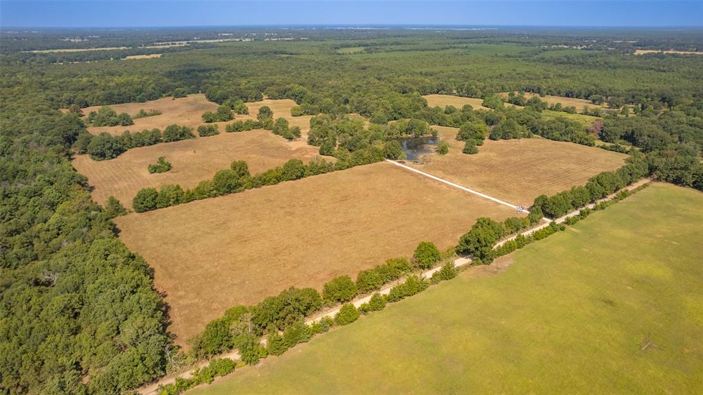 Welcome to the GREAT OUTDOORS!Wildlife abound plentiful on this beautiful flat land.Literally hundreds of trees on this property.Located less than an hour from Casinoland in OK & the famous Hochatown known for it's own outdoor paradise.Mobiles ALLOWED!Owner will finance with down payment. Buyer will be responsible for paying surveyor to survey out the 10 acres from a total acreage tract of 107 acres.Minimum acreage to be purchased is 10 acres.Perfect location to put a double wide mobile home,build a barn,put up a swimming pool & have plenty of room to roam.There are a total of 4 ponds on the larger tract of land.Owner just installed a gravel road into the property.There is Electricity out there & property has a well.There is a phone box on the corner of the road.Privacy galore!Affordable,owner finance,Detroit ISD & close to Community Center where citizens enjoy cake walks, fish fries,silent auctions,chili cookoffs and much more! Don't wait! Make this spot your new home location today!