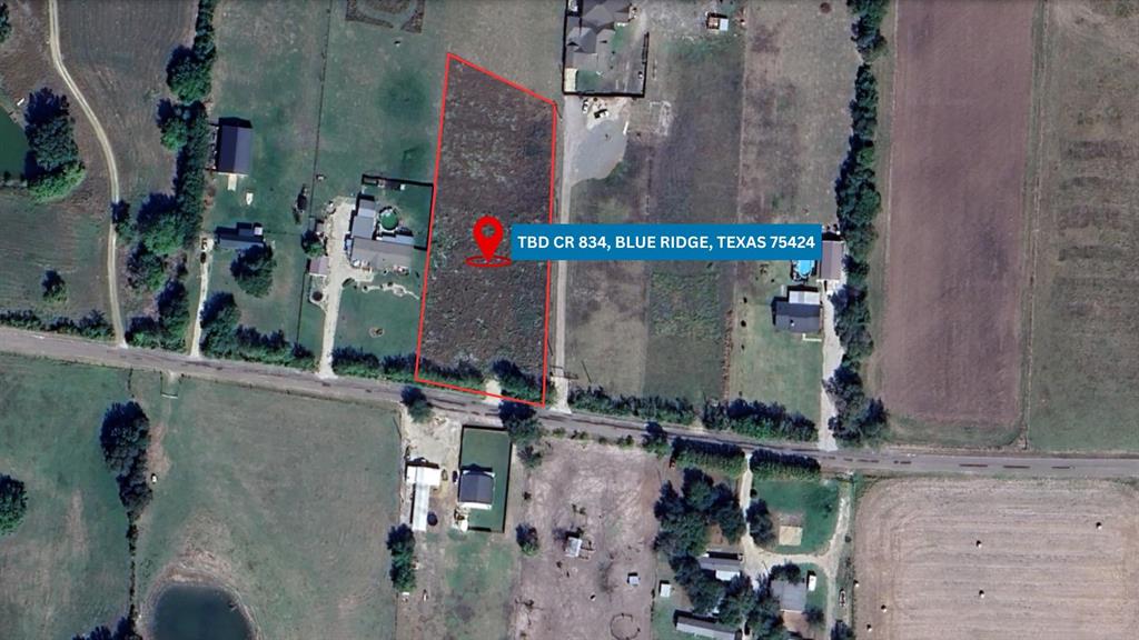 Amazing opportunity to own acreage in Collin County with no known restrictions, close to Celeste county too. Water and electricity are available, and lot has excellent paved road frontage. It is located just minutes from Blue Ridge and Farmersville. The area is surrounded by beautiful and peaceful properties for a real country feel!