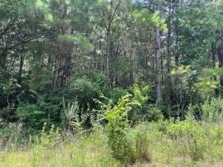 Just under 2.5 acres located in the Hickory Hill Subdivision, offering an excellent opportunity to build your custom dream home just minutes from downtown Pittsburg. This property provides a peaceful, rural setting while maintaining convenient access to local shopping, dining, and amenities. The lot is a blank canvas, ideal for a variety of custom home designs. Mobile homes are restricted, and deed restrictions are in place to help maintain the integrity of the community. Don’t miss this chance to create your perfect homesite in a desirable location. There are other lots available.