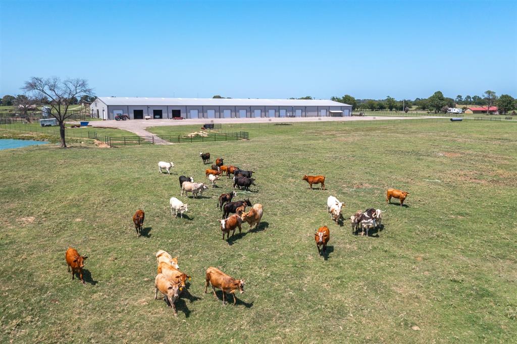 Rural - Land