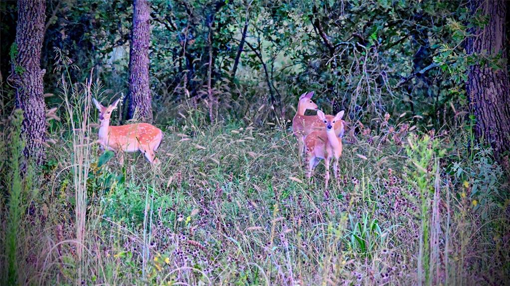 Red Oak Hills Sub - Land