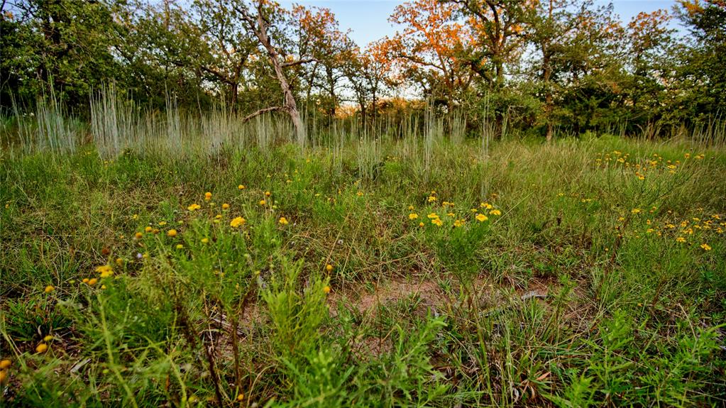 Red Oak Hills Sub - Land