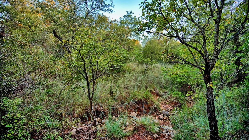 Red Oak Hills Sub - Land