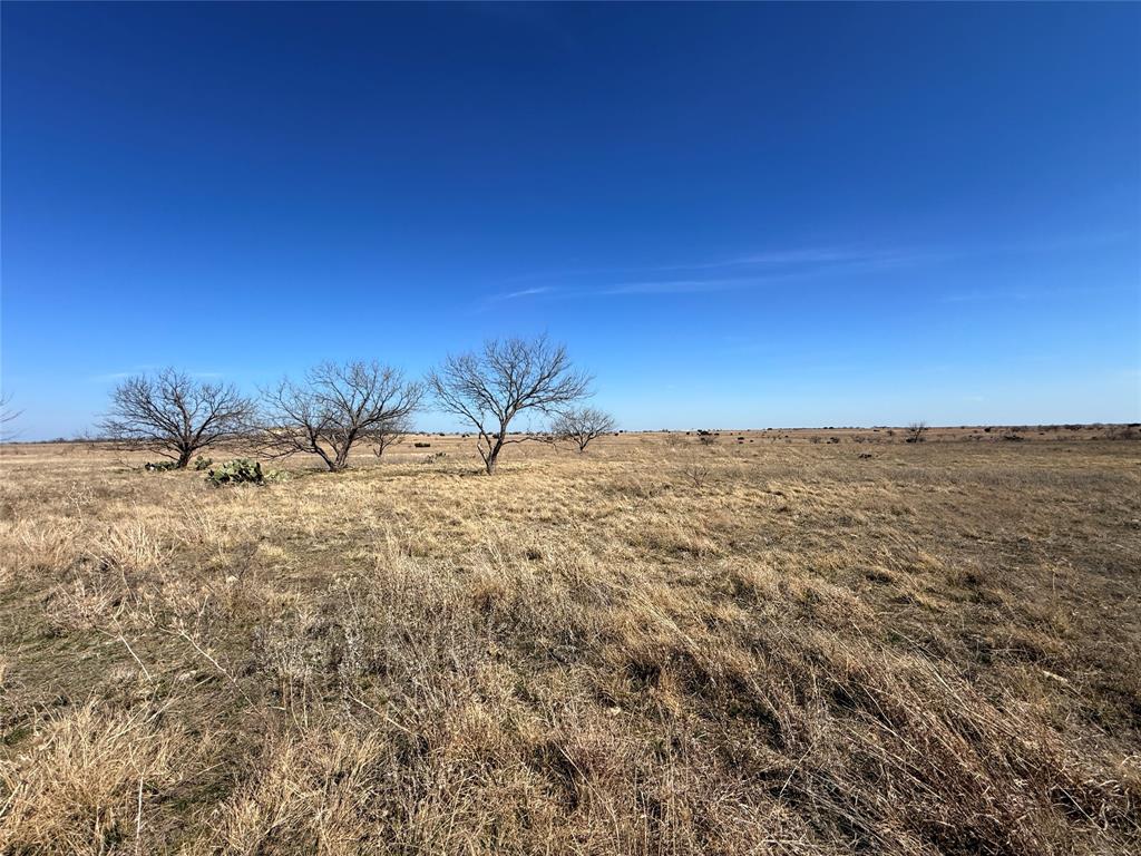 18+- Acres offering country living with wildlife and livestock.  Bring your plans and build your home.  Enjoy sitting outdoors listening and watching the birds and other animals.  The landscape provides views to sit and take in the beautiful sunrises and sunsets.  The native grasses and scattered tree cover provide grazing and some protection for the animals.  Electricity is available near by and a well would need to be drilled to provide water to the home and animals.