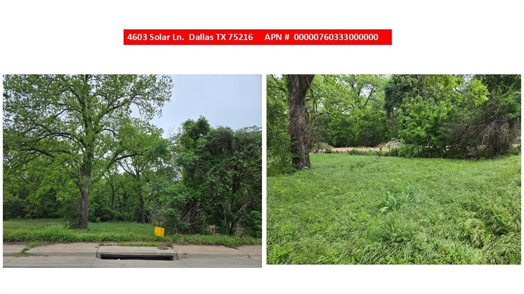 Great deep  lot ready for building your dream home. Easily cleared with some mature trees.  Build a large single story or a 2 story home with plenty of room for a pool in your back yard oasis.   City utilities and great neighbors already in place. It's close to I-45 for easy commute to down town.  Build the home of your dreams .  Lot next door behind gate being cleared for build not part of property being offered. Seller does not have a survey.