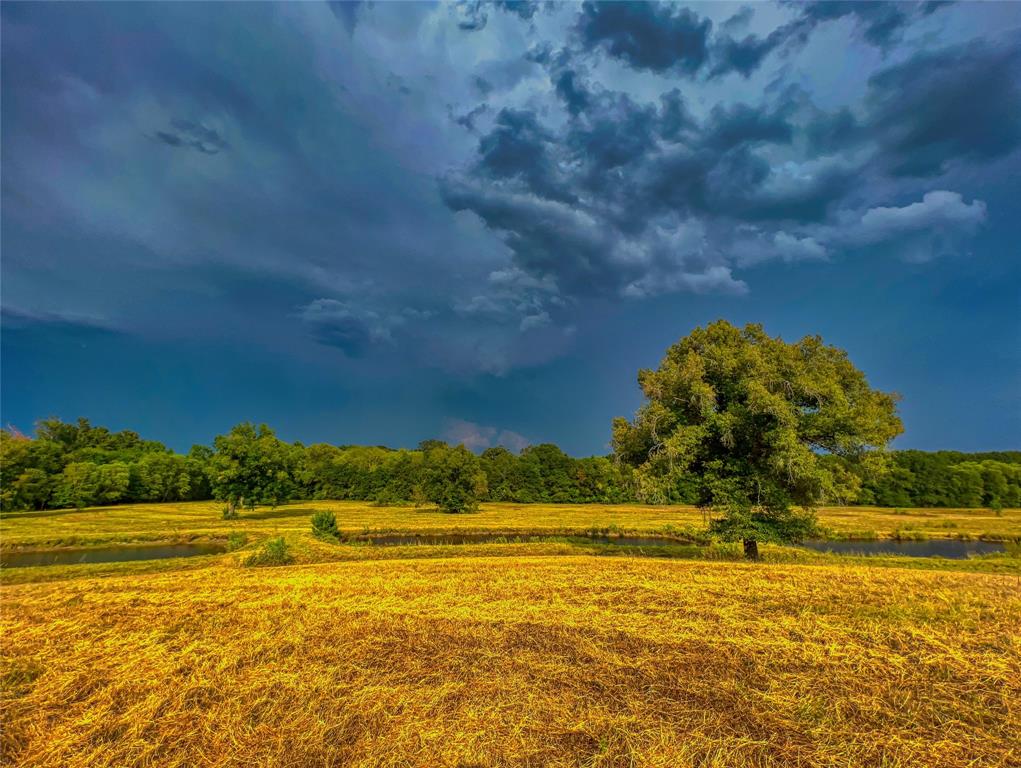 Land - Farm