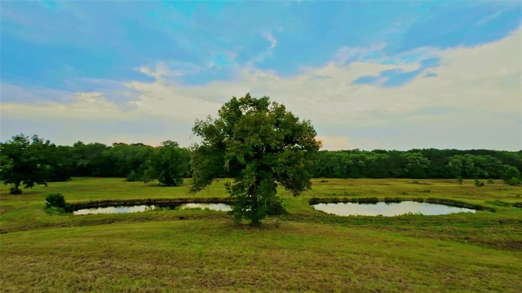 Land - Farm
