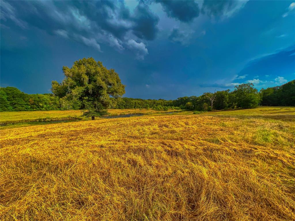 Land - Farm