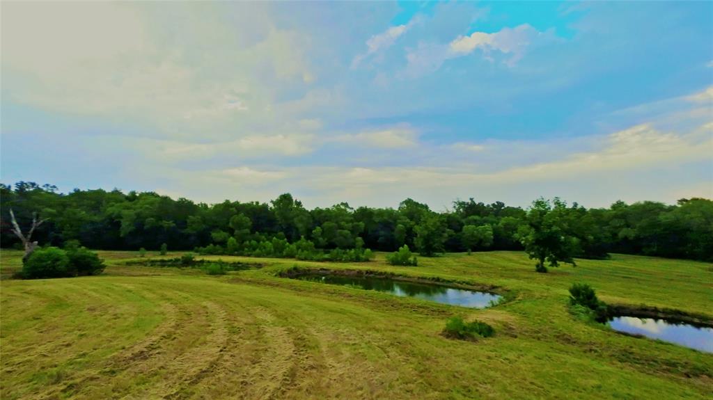 Land - Farm
