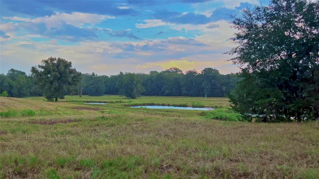 Land - Farm