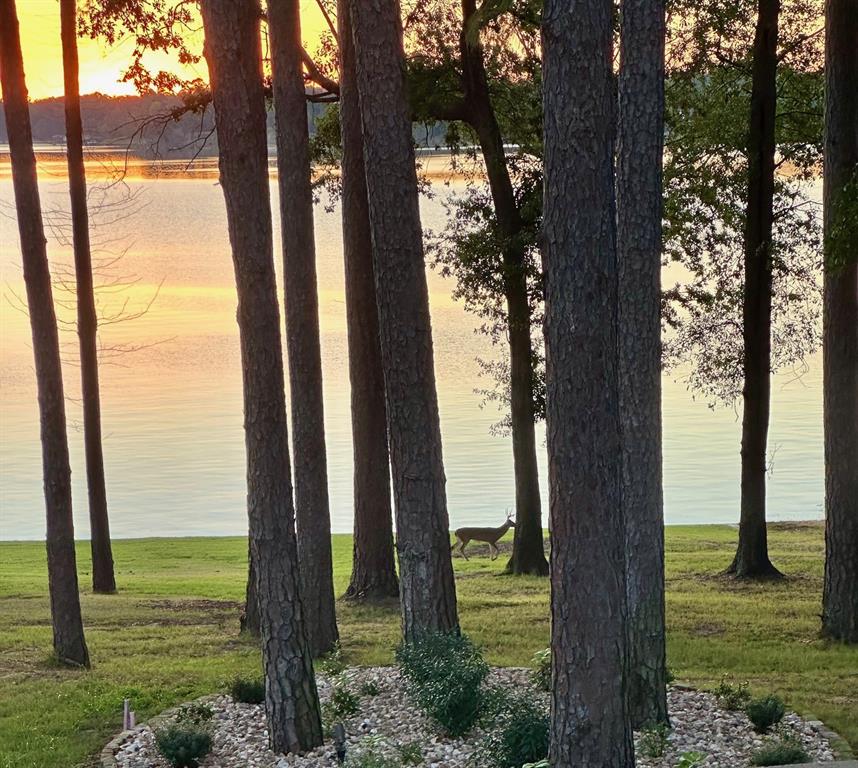 Lost Pines - Residential