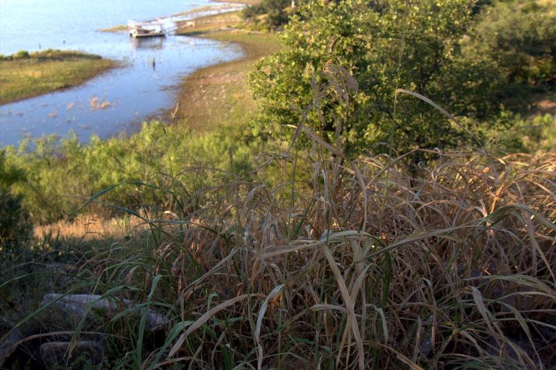 Kings Point Cove - Land