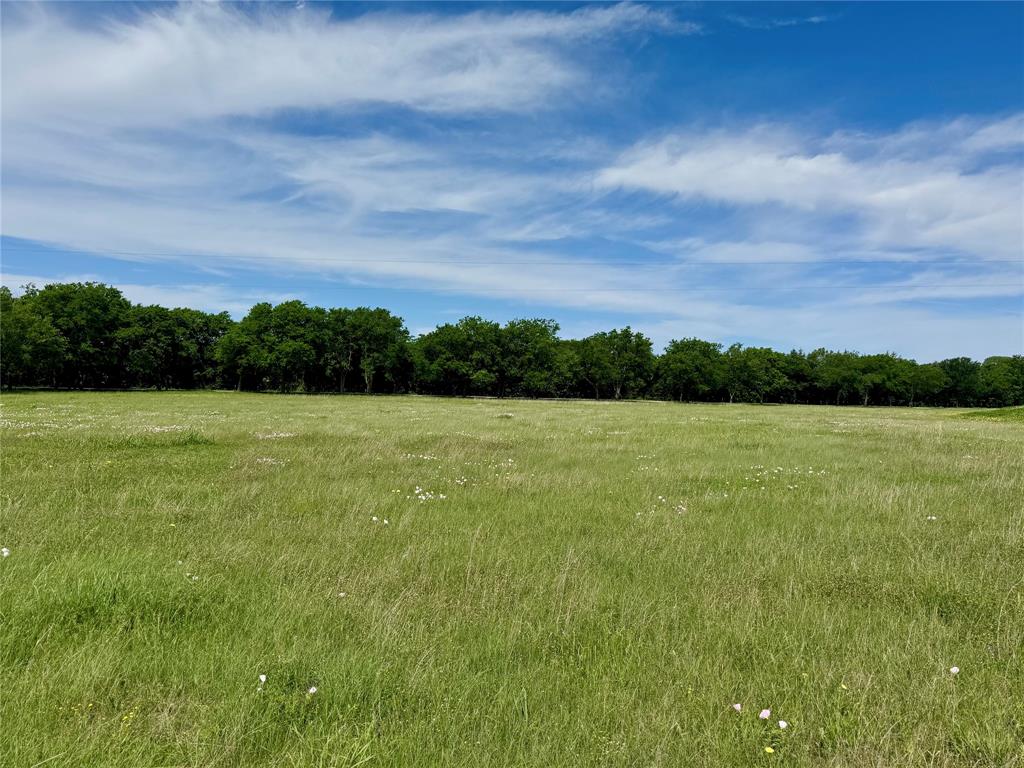 SHORT HUBBARD - Land