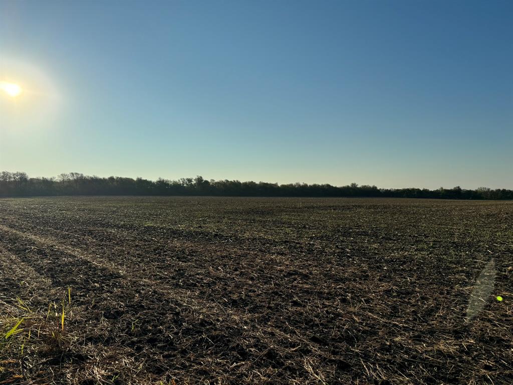 rural - Land