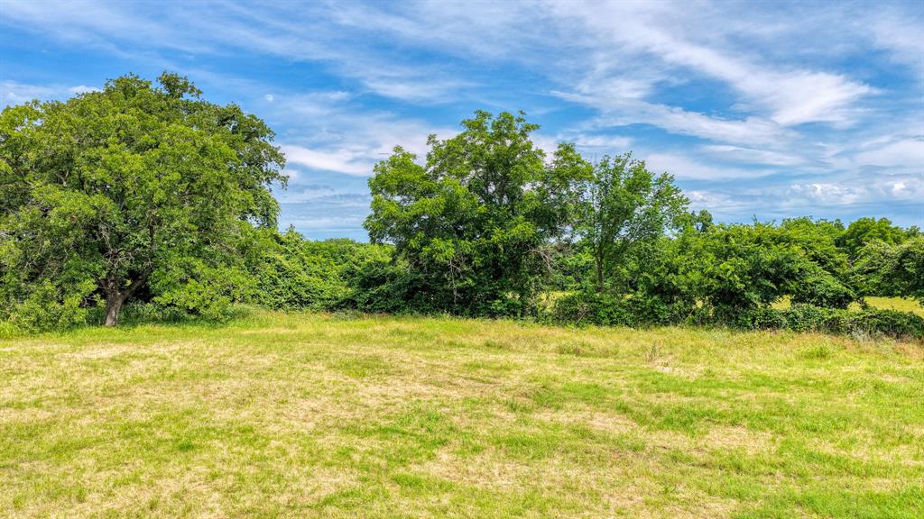 Briar Oaks Ranchett - Land